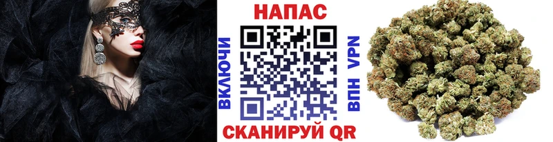Канабис MAZAR  Советский 